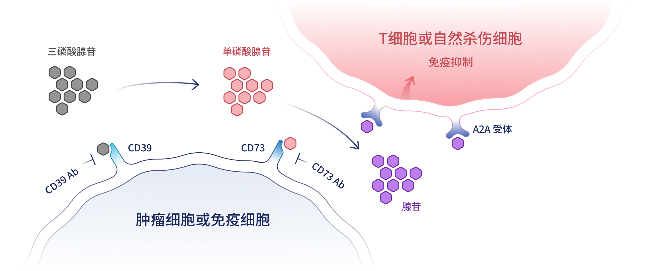 免费资料大全